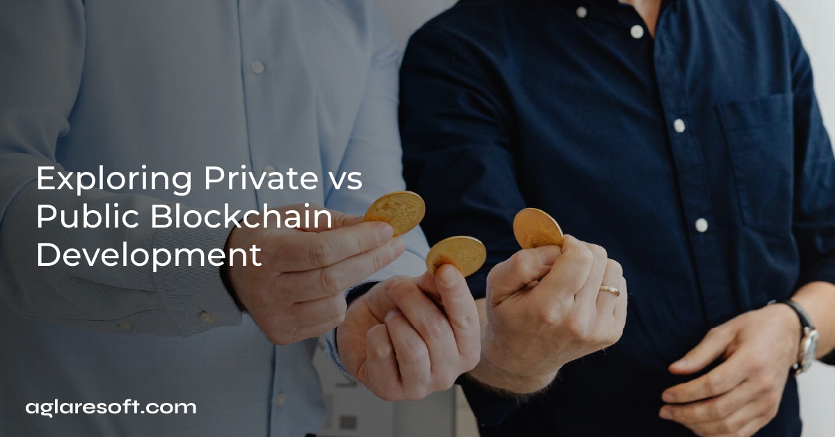 Exploring Private vs Public Blockchain Development