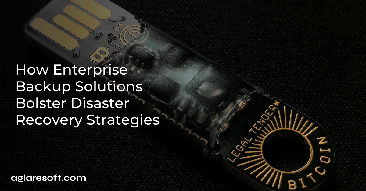 How Enterprise Backup Solutions Bolster Disaster Recovery Strategies
